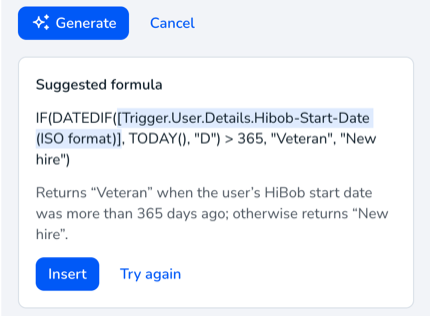 AI suggested formula panel showing a generated IF/DATEDIF formula with a plain-language explanation and Insert and Try again buttons